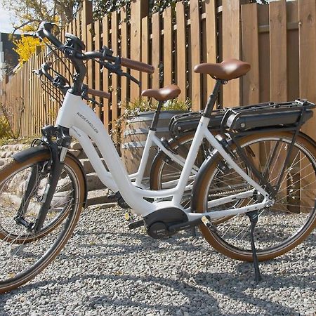 Nordsee-Ferienwohnungen Hinrichsen Husum  Ngoại thất bức ảnh